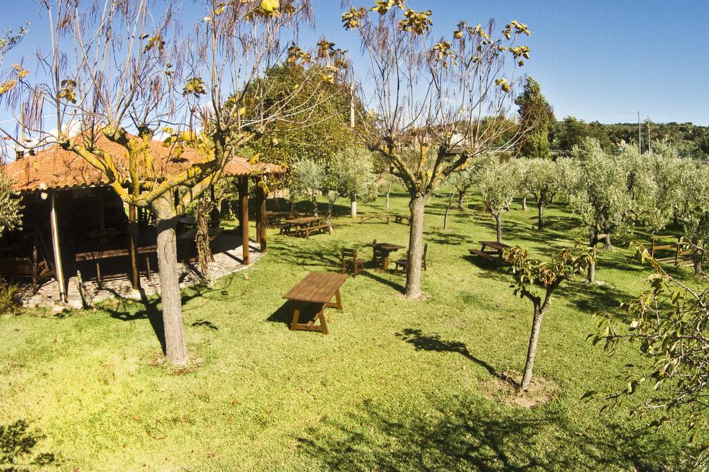 Iscairia Country House Ascea Exterior foto